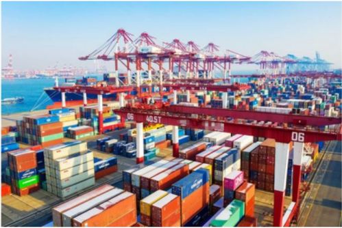 寒潮突襲，大港封航 挑戰中尋創意服務新機遇