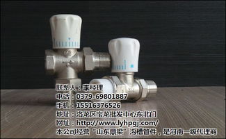 銅閥門DN50 水韻商貿的匠心之選